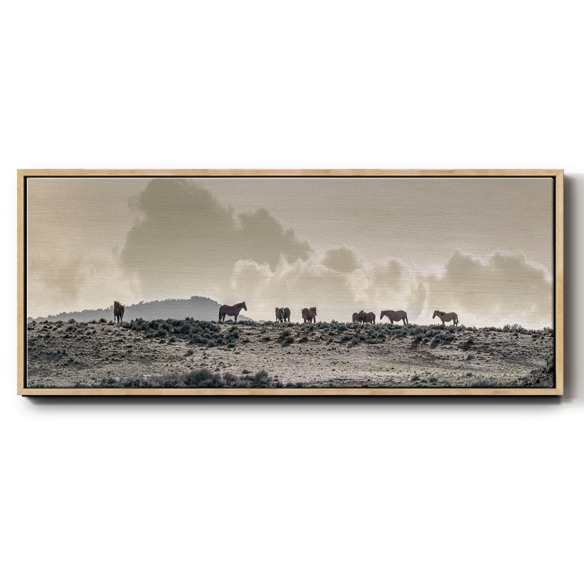 Wild Horse Ridge - Floater Framed Canvas Print