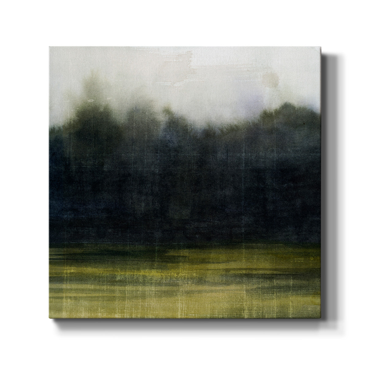 Mossy Treeline I  - Canvas Art Print