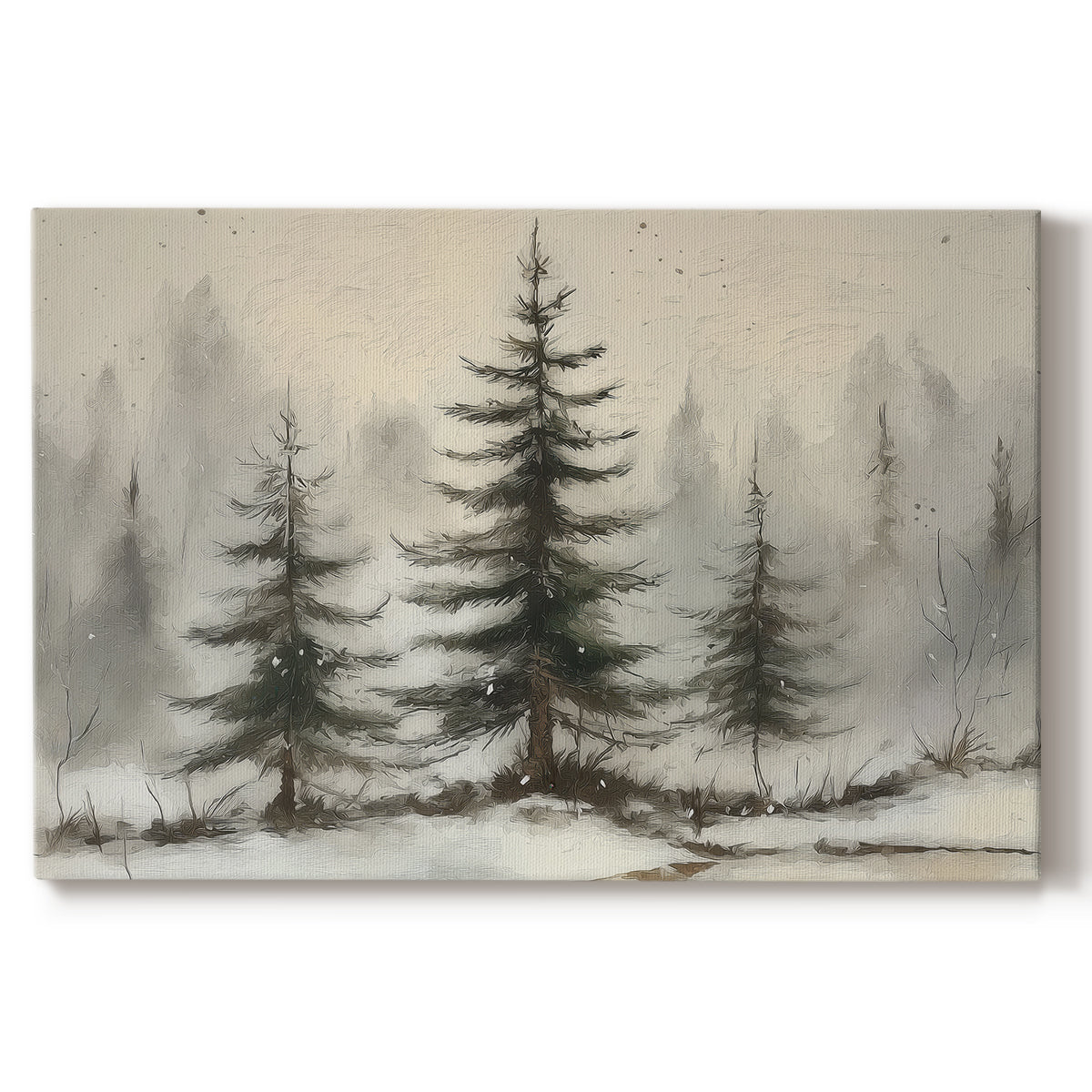 Sugar Whisper of Fir - Canvas Art Print