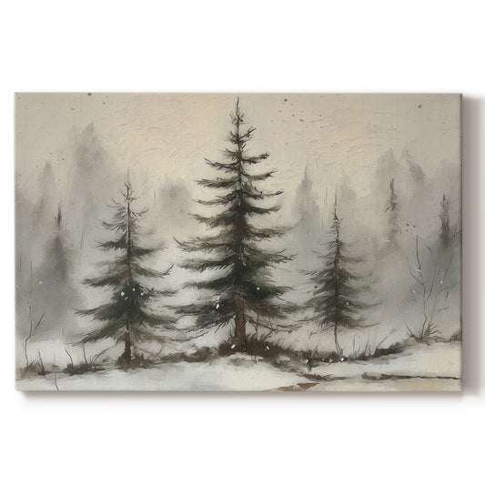 Sugar Whisper of Fir - Canvas Art Print