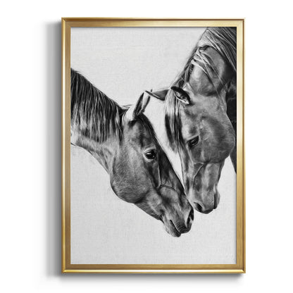 Equine Portrait VI - Modern Framed Canvas Print