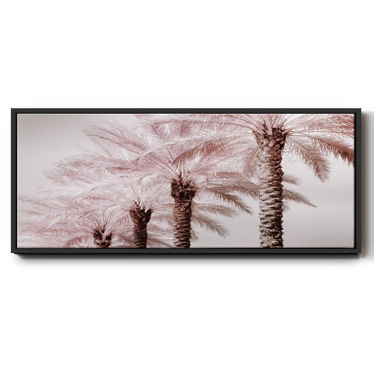 Stately Palms - Floater Framed Canvas Print