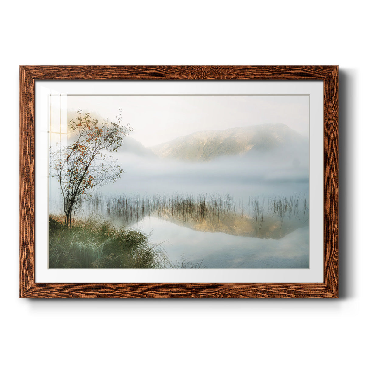 Golden Mirror of October - Barnwood Framed Art Print