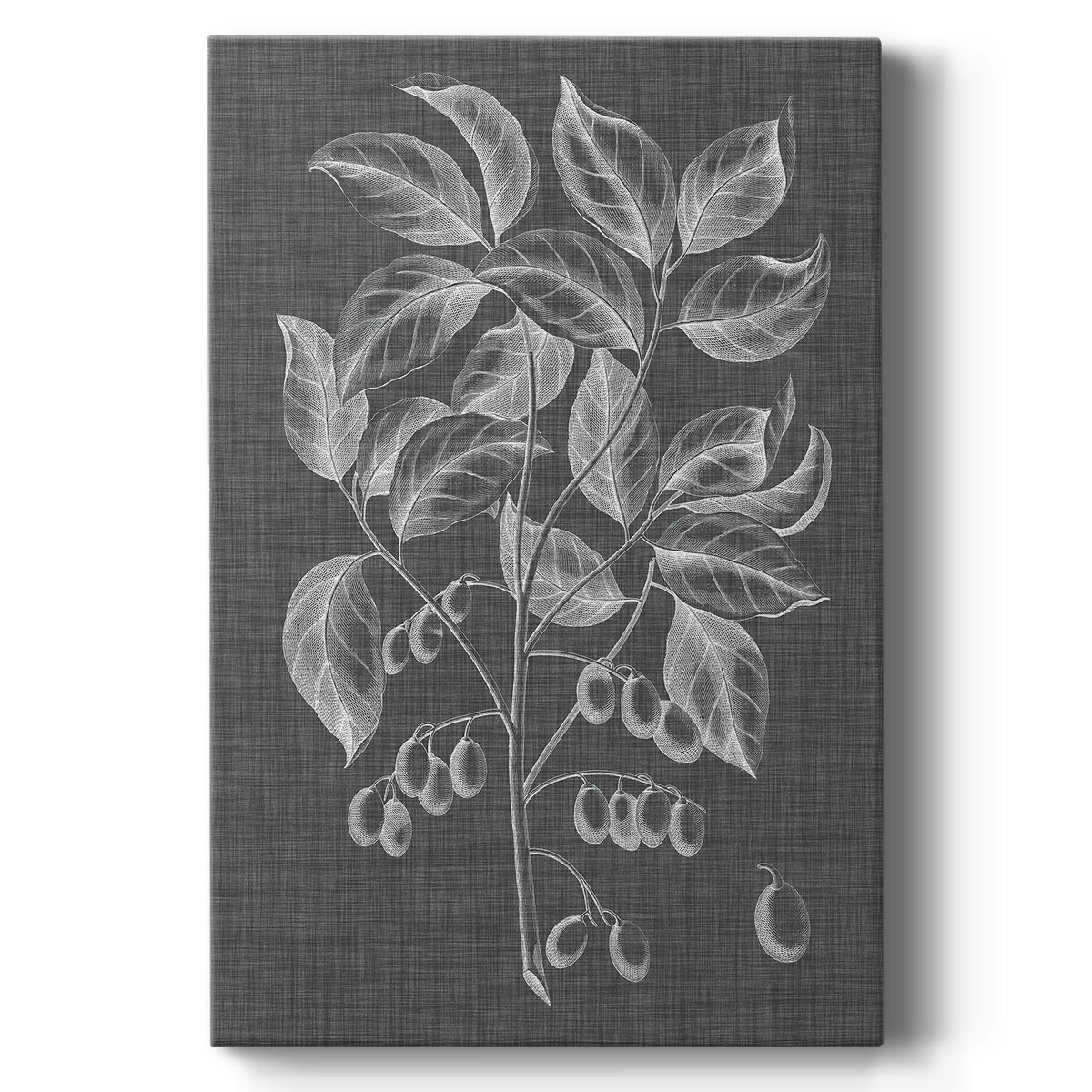 Graphic Foliage V Premium Gallery Wrapped Canvas - Ready to Hang