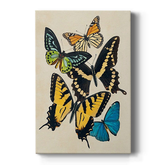 Collaged Butterflies II - Canvas Art Print