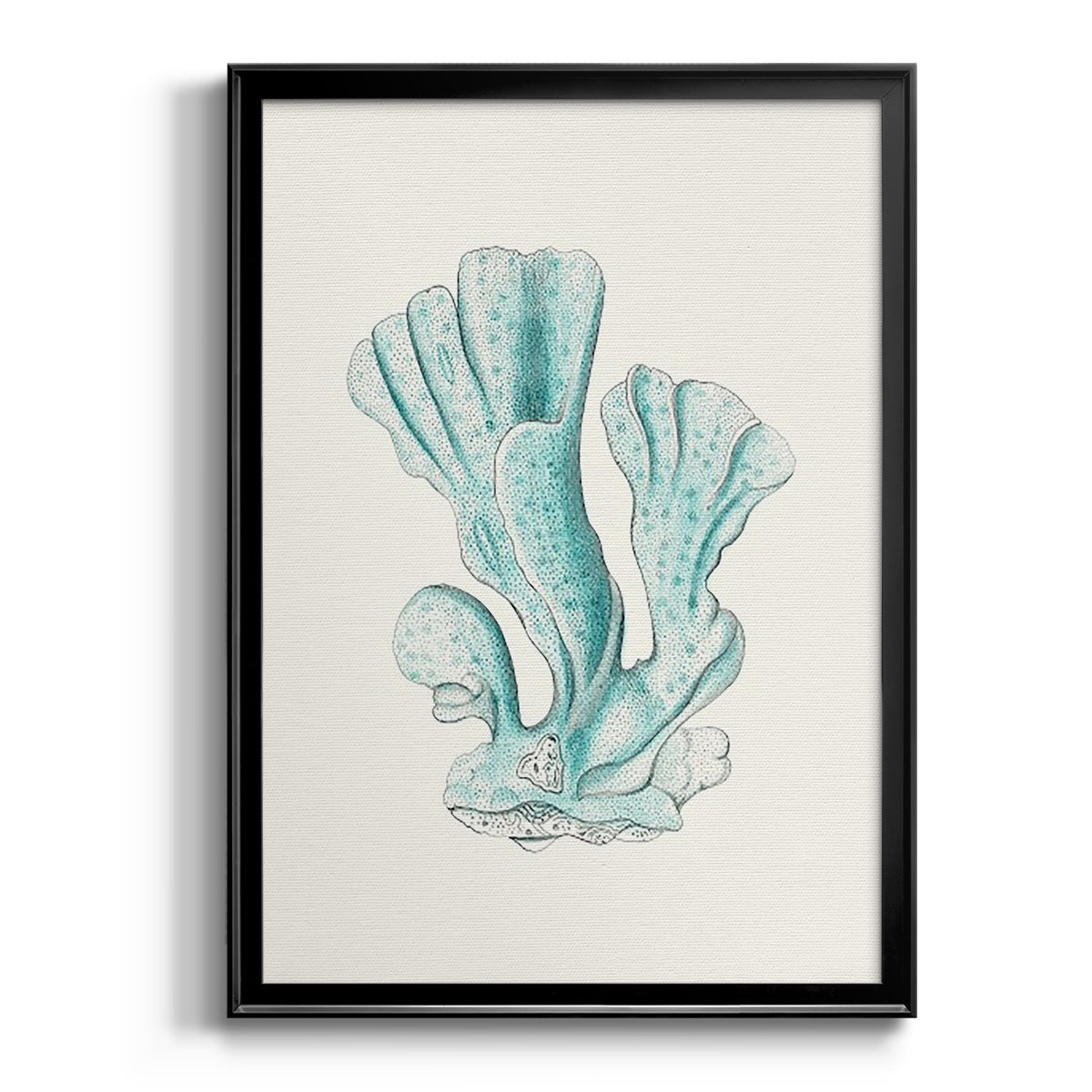 Antique Coastal Coral XI - Modern Framed Canvas Print