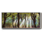 Majestic Morning - Floater Framed Canvas Print