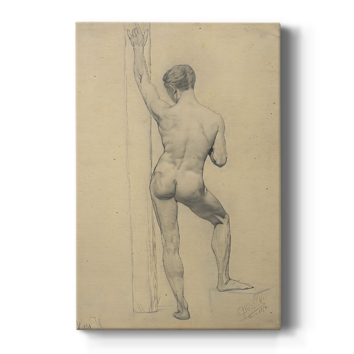 Canvas art print featuring a figure study of a male nude seen from the back with soft shading on a clean white background.