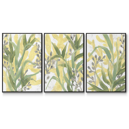 Sea Grass Fresco I - Floater Framed Canvas Set