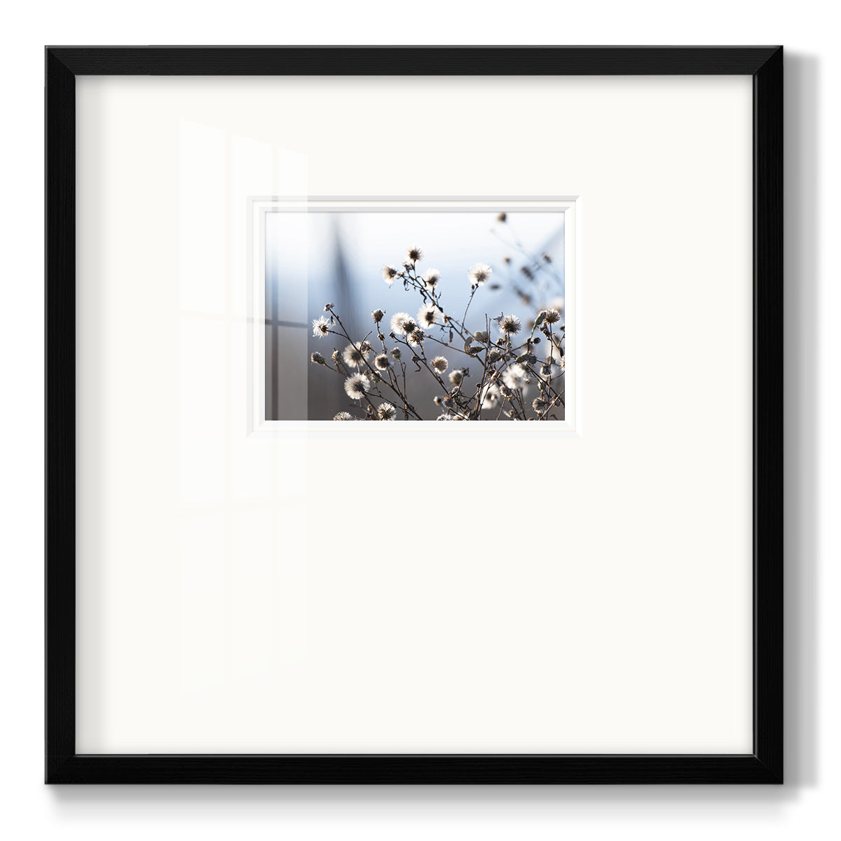 Spring Fluff - Double Matboard Framed Print