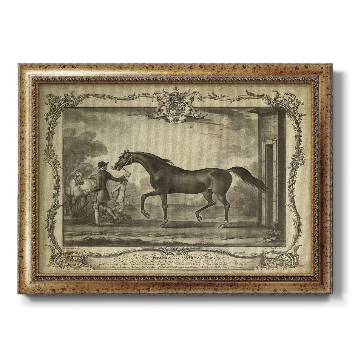 Distinguished Horses IV Premium Framed Canvas- Ready to Hang