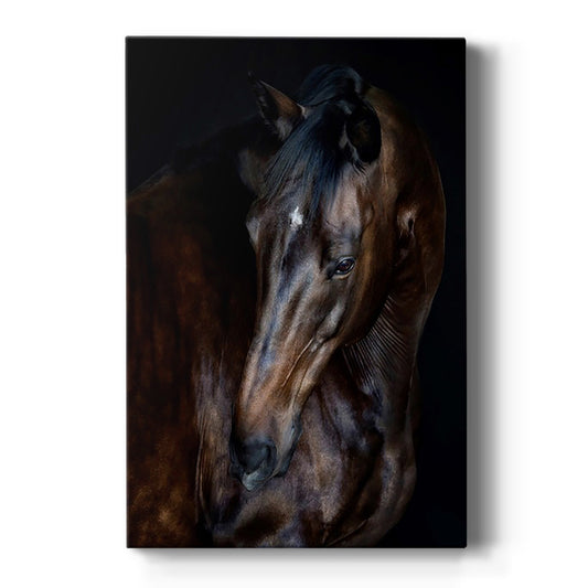 Sunlit Horses I Premium Gallery Wrapped Canvas - Ready to Hang