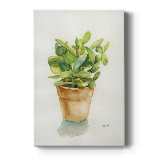 Succulent I - Canvas Art Print