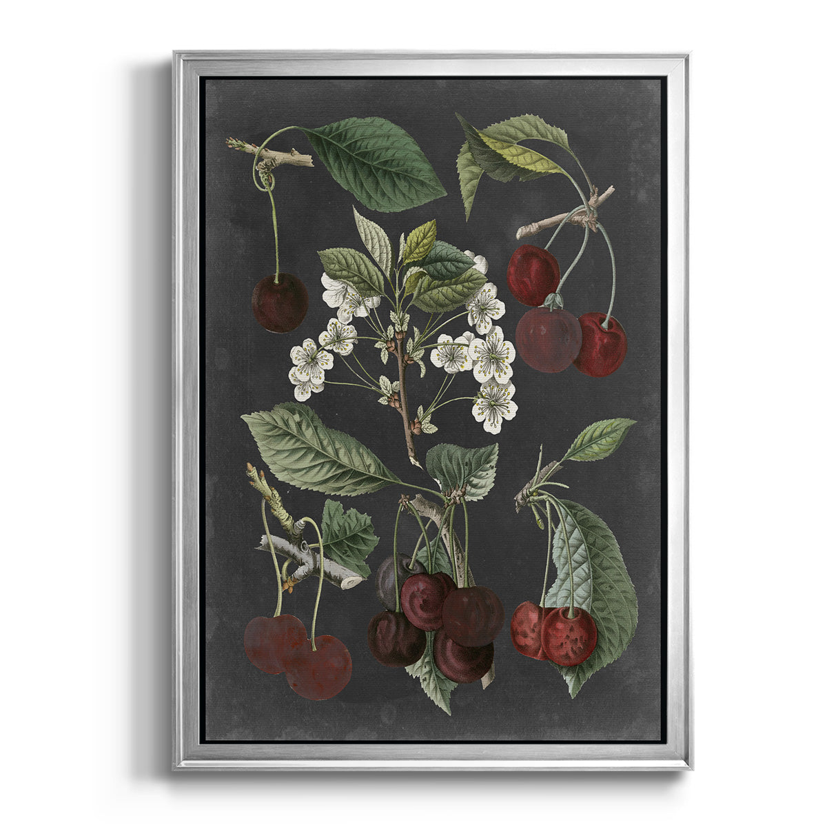 Orchard Varieties I - Modern Framed Canvas Print