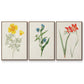 Flowers of the Seasons IV - Framed Premium Gallery Wrapped Canvas L Frame 3 Piece Set - Ready to Hang