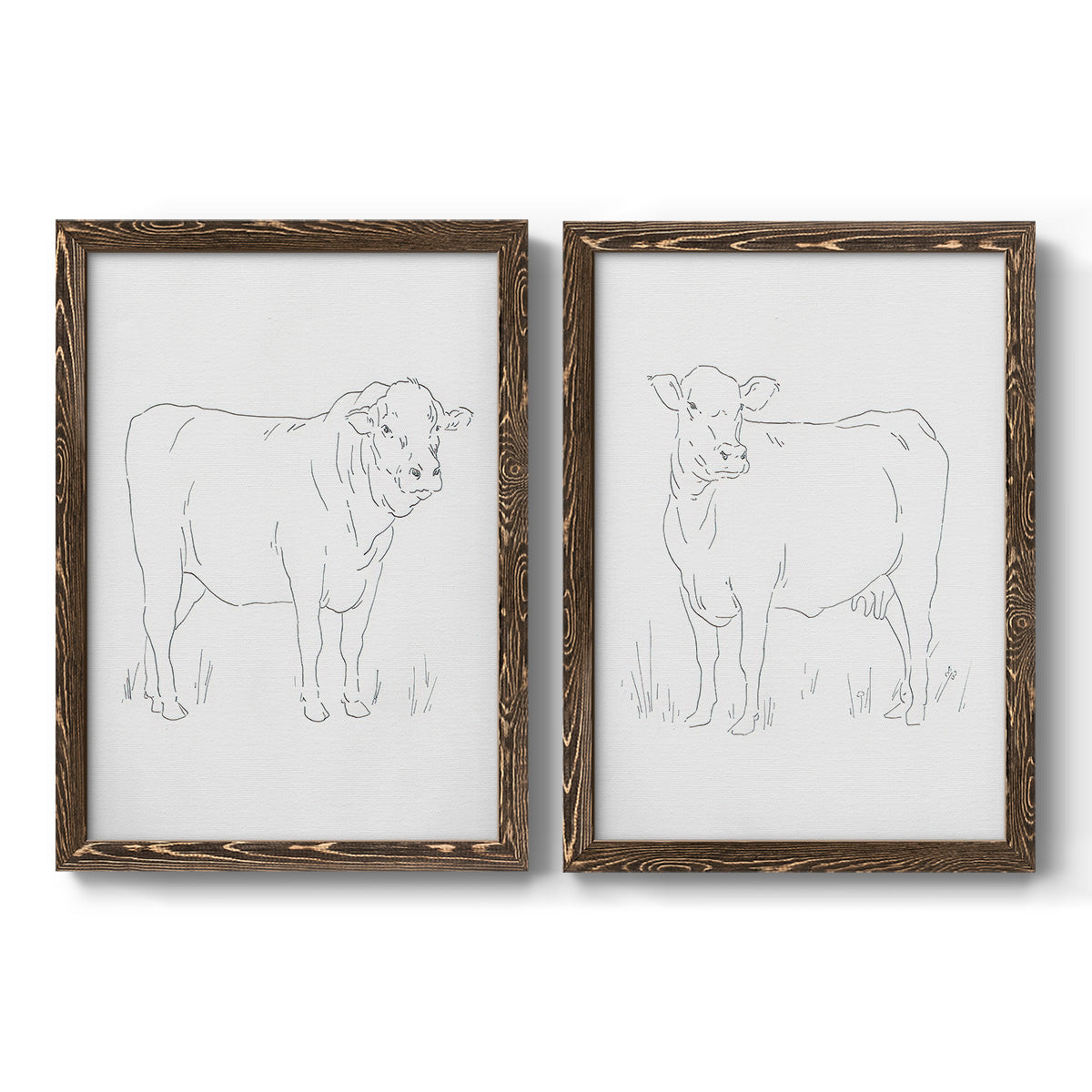 Set of two walnut barnwood framed canvas prints featuring two minimalist livestock sketches featuring simple contour drawings of standing cows.