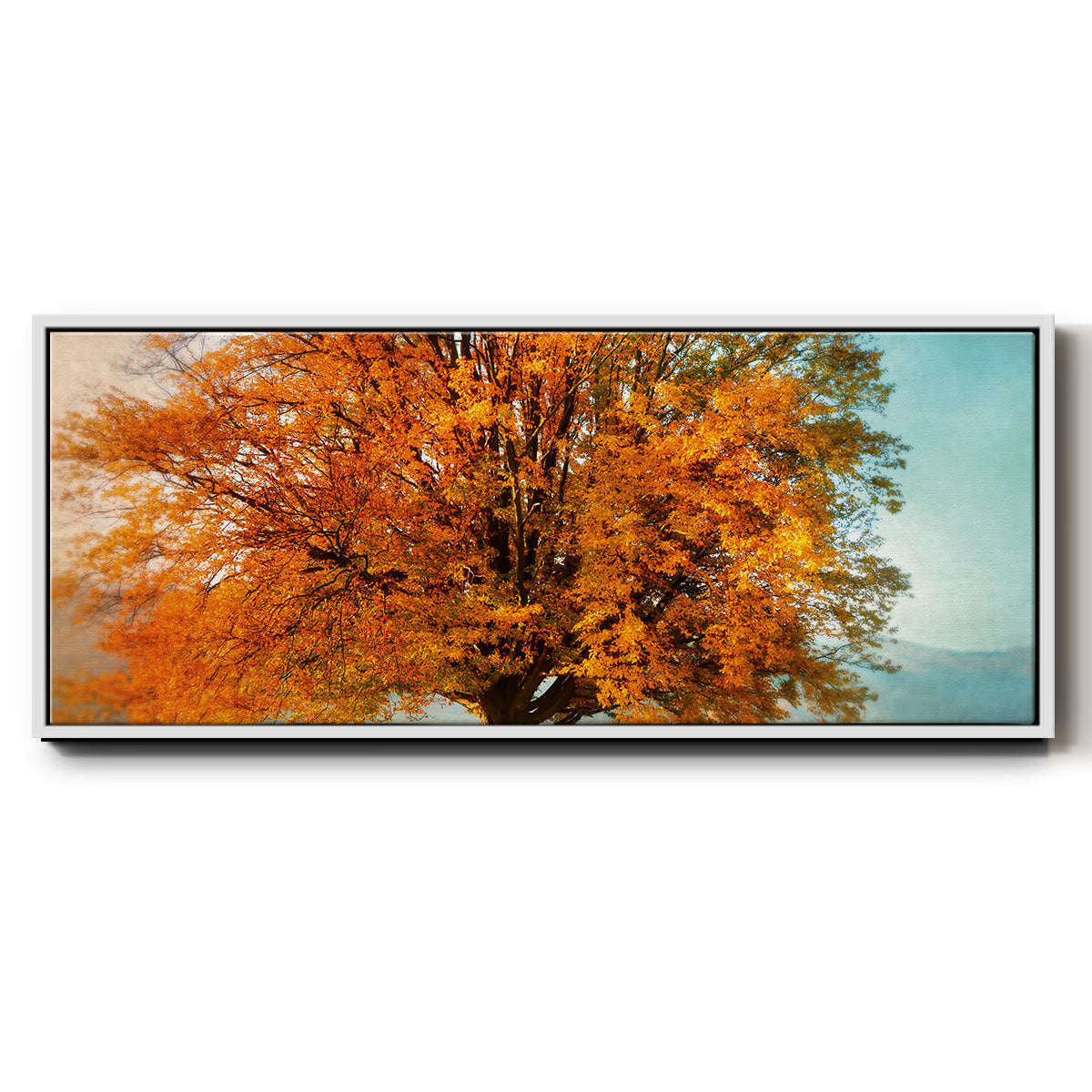 Autumn's Passion - Floater Framed Canvas Print