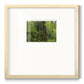 Calm of the Forest - Double Matboard Framed Print