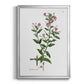 Rose Botanical III - Modern Framed Canvas Print