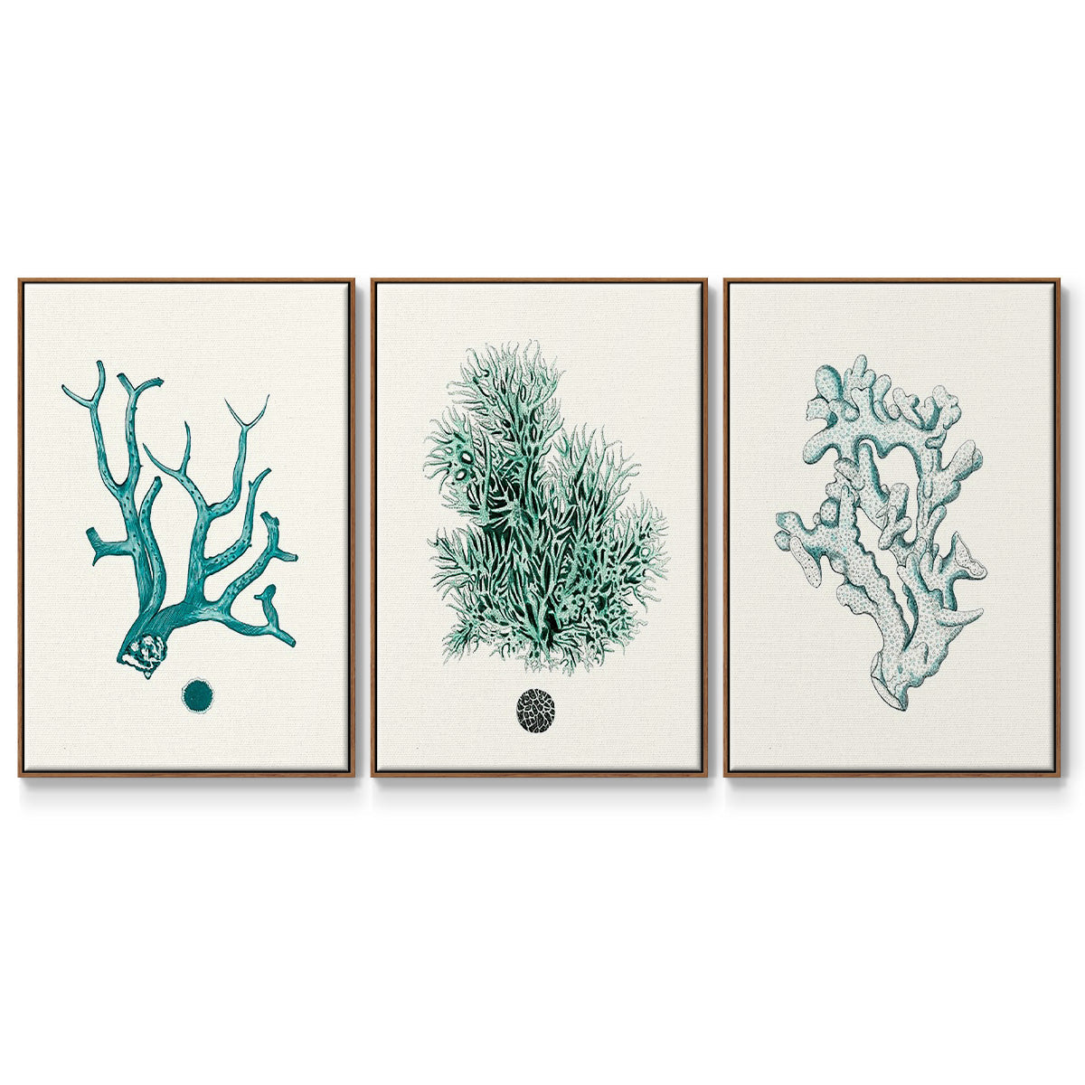 Antique Coastal Coral IV - Framed Premium Gallery Wrapped Canvas L Frame 3 Piece Set - Ready to Hang