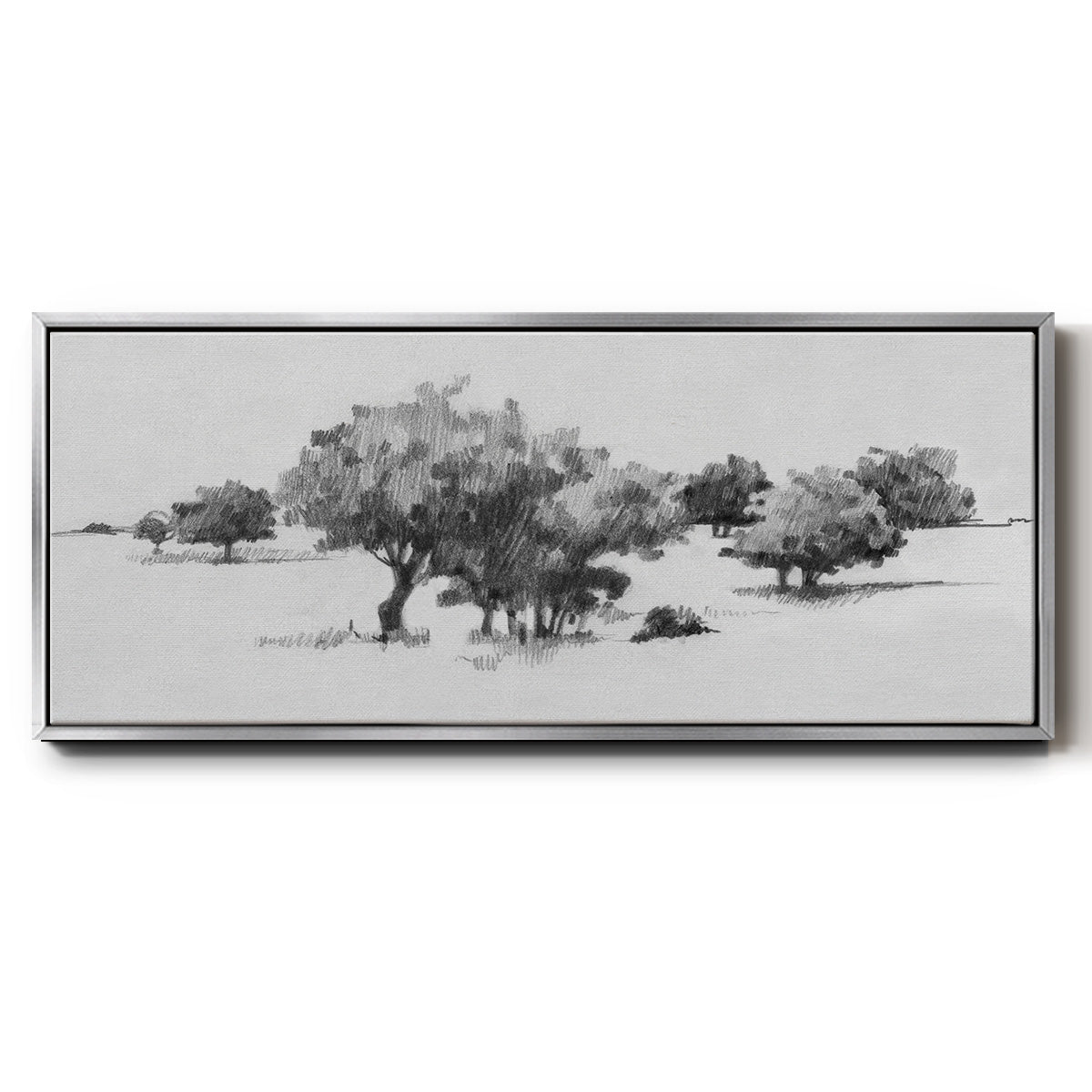 Treeline Sketch II - Floater Framed Canvas Print