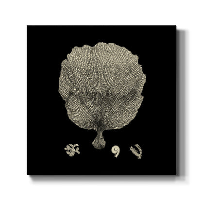 Black and Tan Coral II - Canvas Art Print