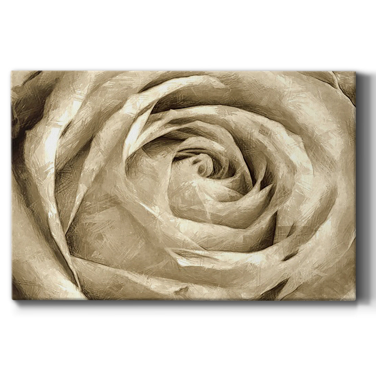 Neutral Wall Flower IV - Canvas Art Print