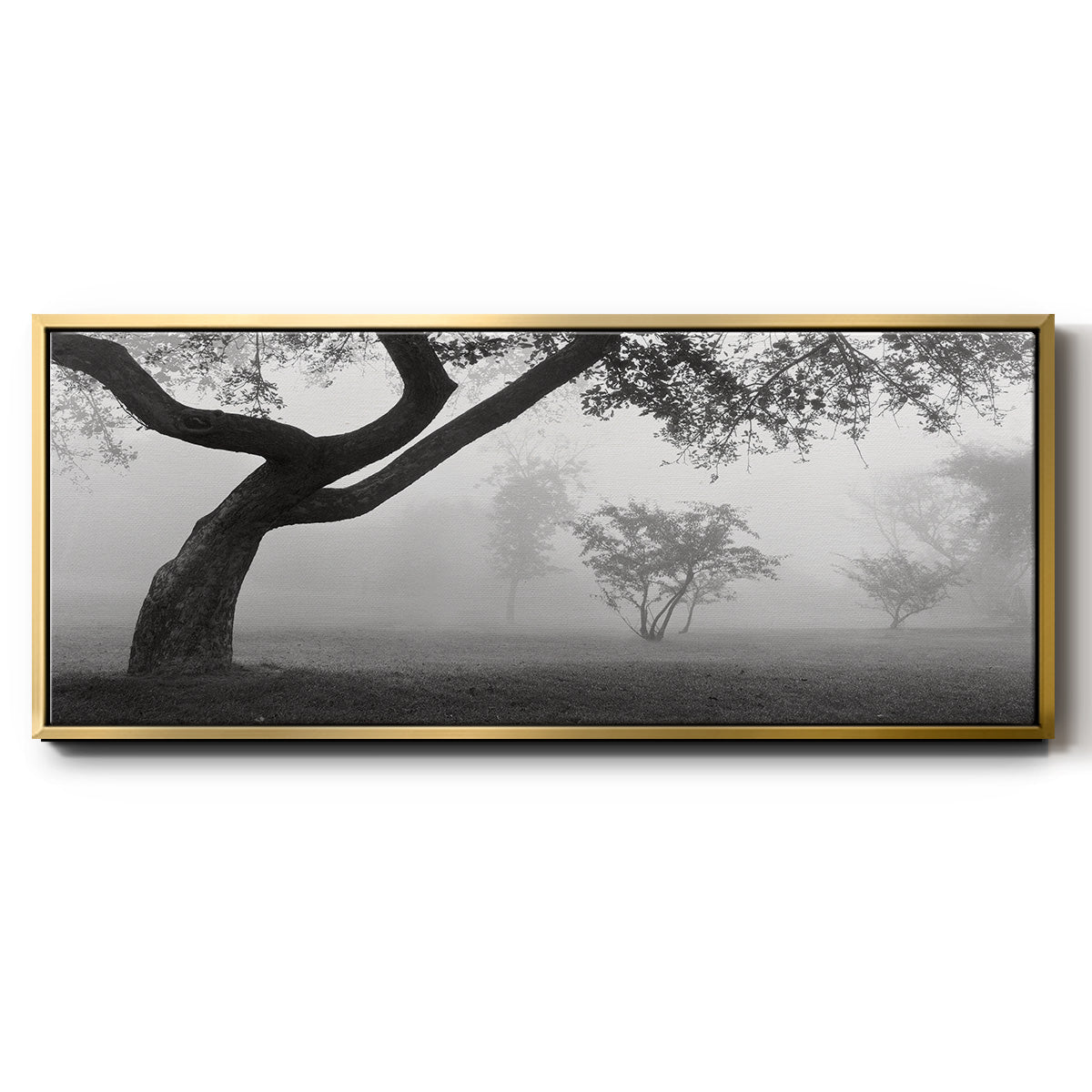 Morning Mist, Farmington Hills, Michigan - Floater Framed Canvas Print
