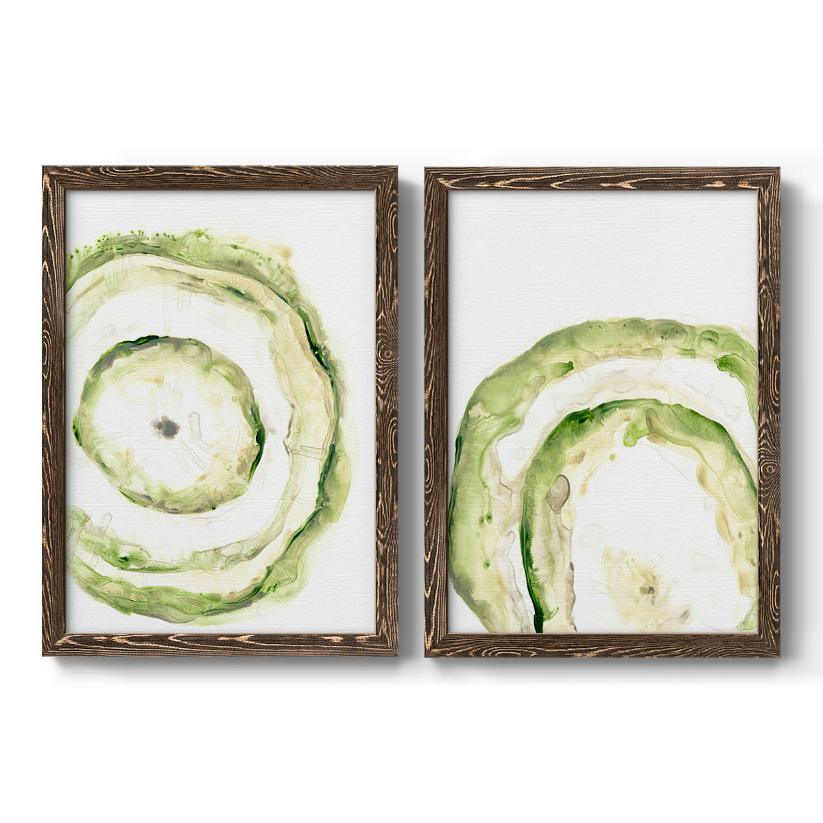 Lichen Halo III - Premium Framed Canvas 2 Piece Set - Ready to Hang