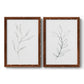 Set of two maple barnwood framed canvas prints featuring two minimalist botanical line drawings featuring single continuous-line leafy branches.