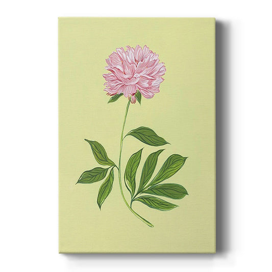 Peonies in Yellow I - Canvas Art Print