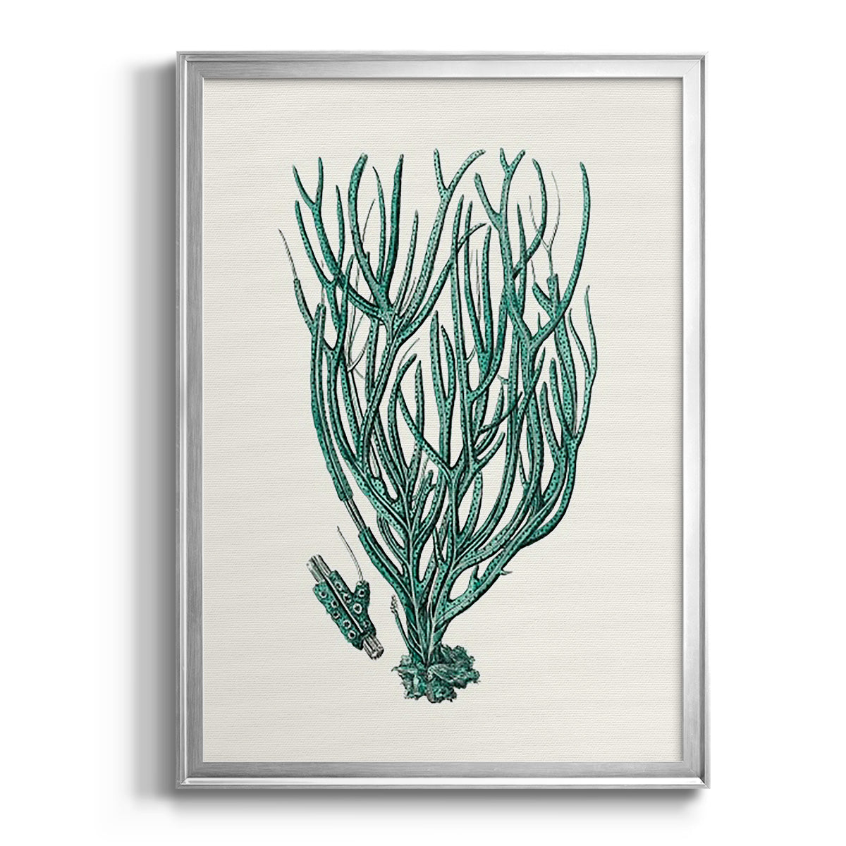 Antique Coastal Coral VIII - Modern Framed Canvas Print