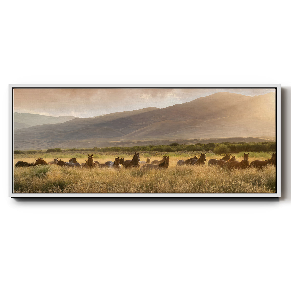 Wild and Free I - Floater Framed Canvas Print