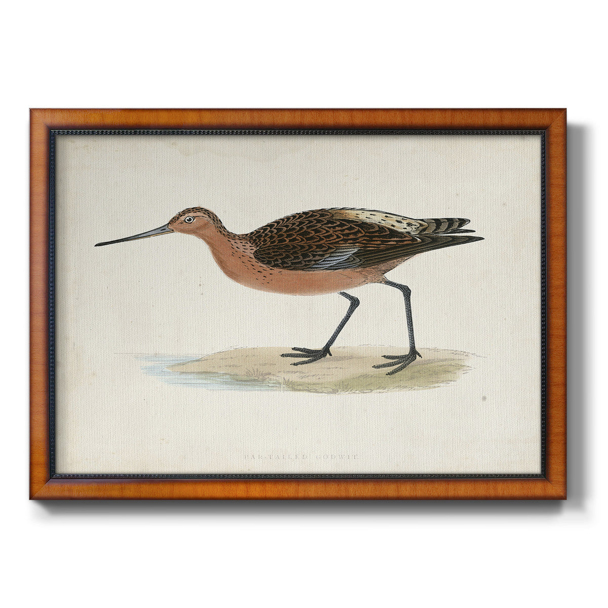 Morris Sandpipers II Premium Framed Canvas- Ready to Hang