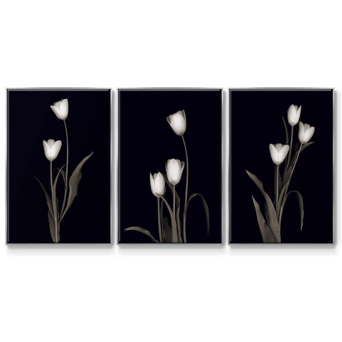 Tulip Pose I - Floater Framed Canvas Set