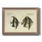 Bloch Antique Fish I Premium Framed Canvas- Ready to Hang