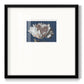 White Peony - Double Matboard Framed Print