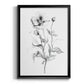 Wild Poppy Sketch - Modern Framed Canvas Print