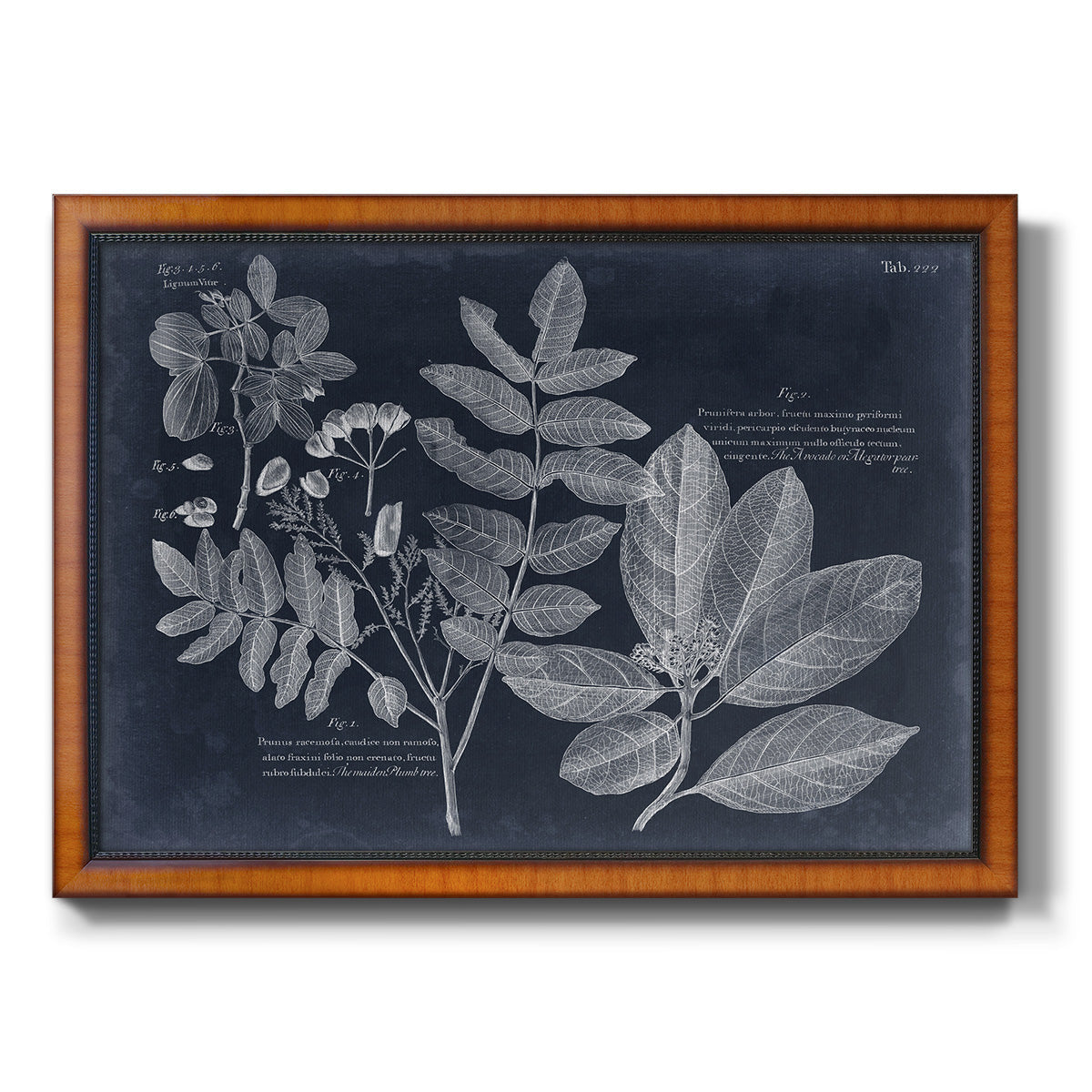 Foliage on Navy V Premium Framed Canvas- Ready to Hang