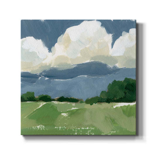 Spring Meadow Study I-Premium Gallery Wrapped Canvas - Ready to Hang