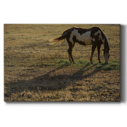 Long Shadow - Canvas Art Print