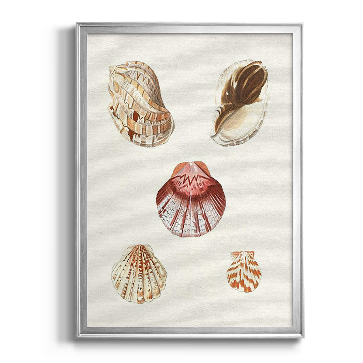 Pastel Knorr Shells V - Modern Framed Canvas Print