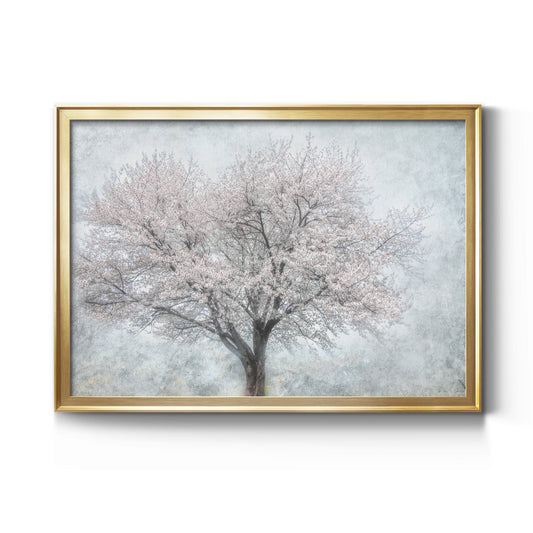 A Feel of Spring II Premium Classic Framed Canvas - Ready to Hang