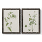 Wispy Botanical I - Premium Framed Canvas 2 Piece Set - Ready to Hang