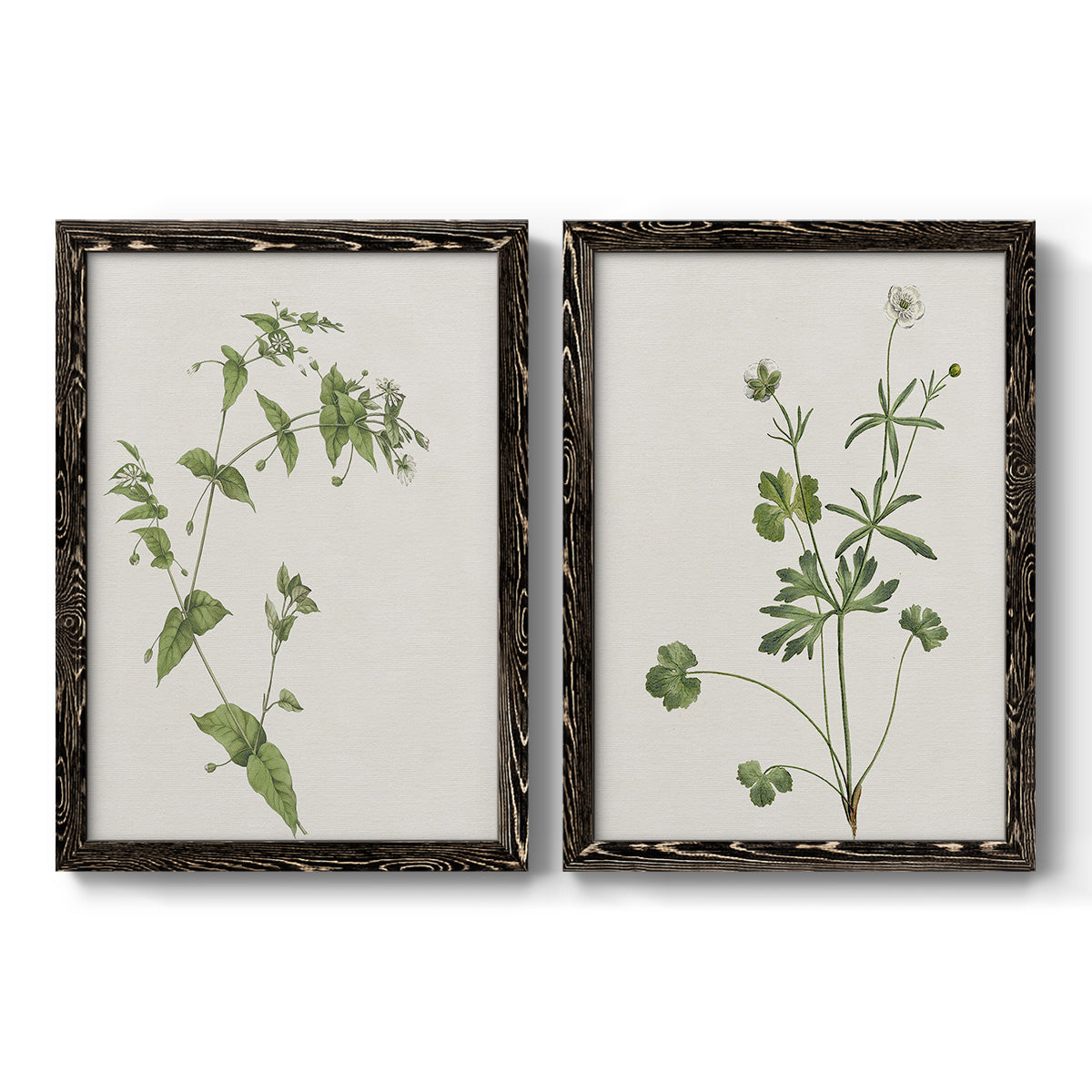 Wispy Botanical I - Premium Framed Canvas 2 Piece Set - Ready to Hang