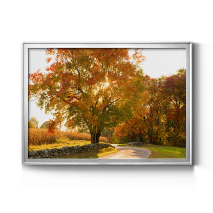 Maple Tree Drive - Modern Framed Canvas Print