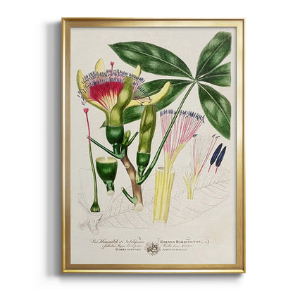 Imperial Tropical Botanical II - Modern Framed Canvas Print