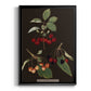 Brookshaw Cherries - Modern Framed Canvas Print