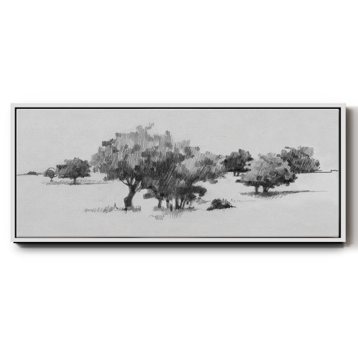 Treeline Sketch II - Floater Framed Canvas Print