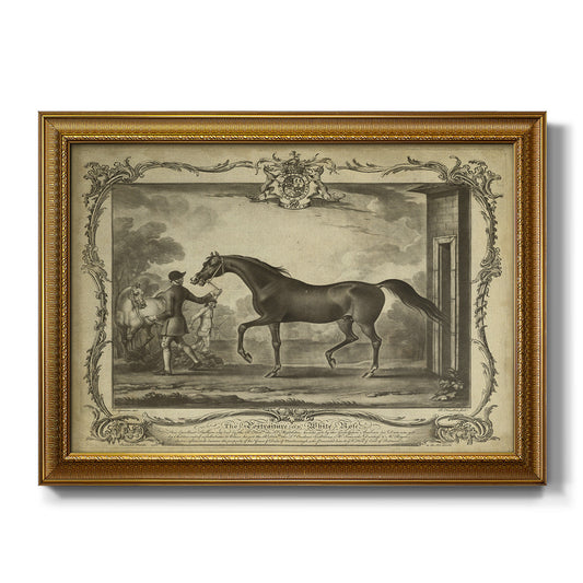 Distinguished Horses IV - Ornate Framed Canvas Print